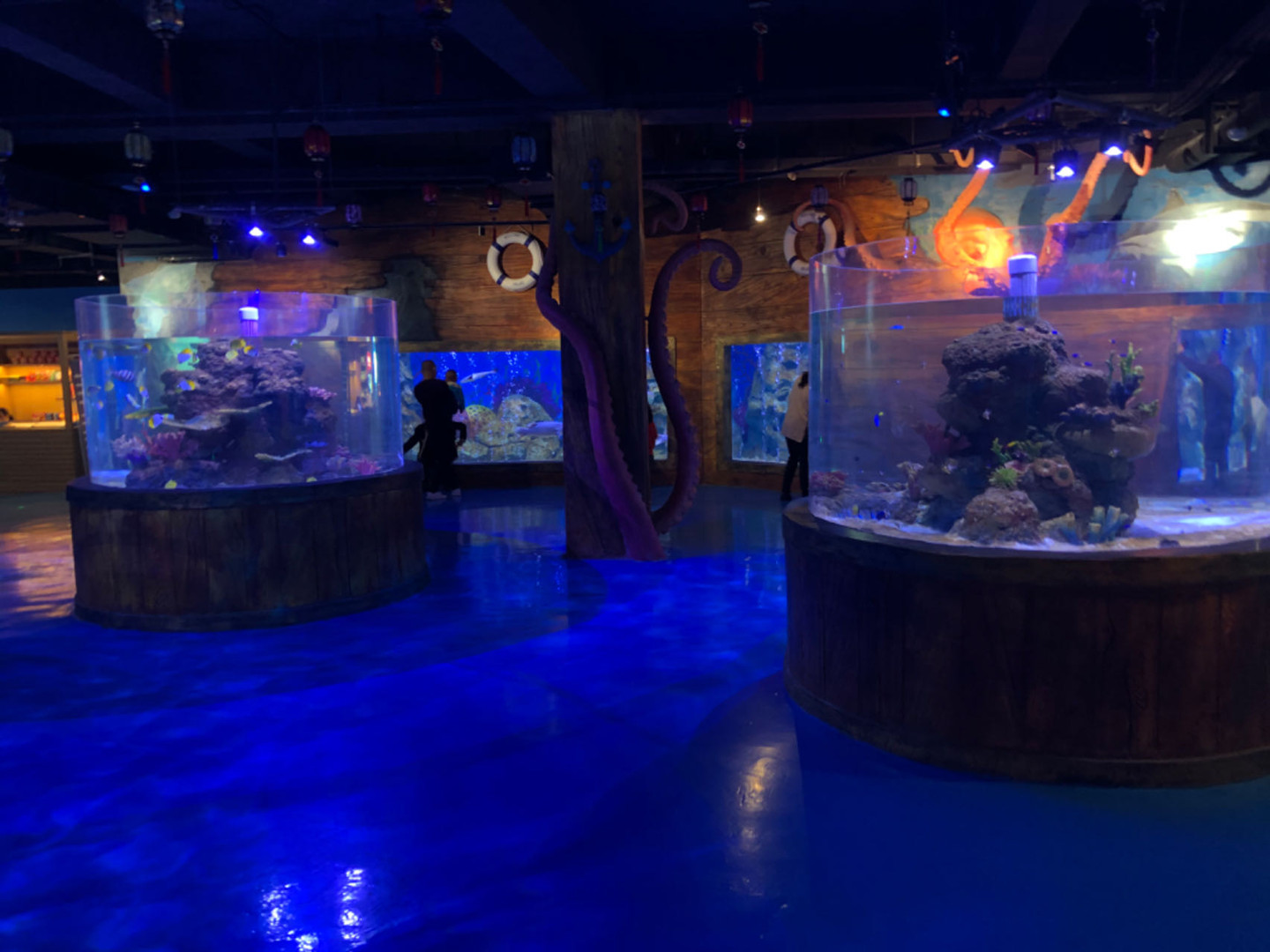 Akrilik balık tankı yaşam destek sisteminin tanıtımı